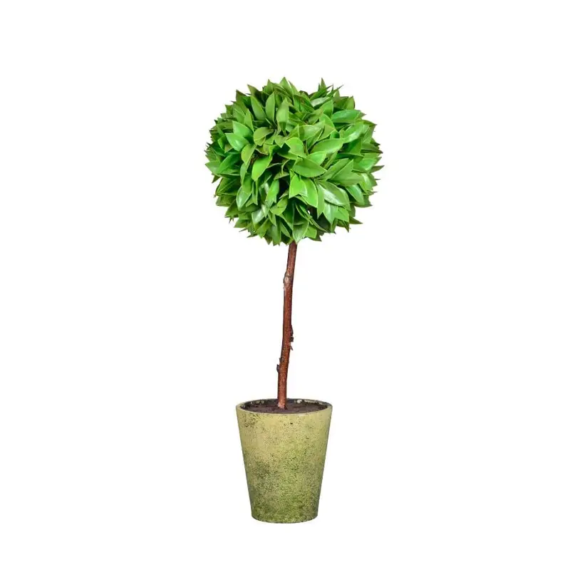 Artificial Hanging Or Stand Plant – Modern Indoor Ornamental Design 1