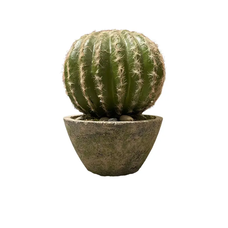 Artificial Potted Cactus – Lifelike Desert Accent N36520-Pz031 1