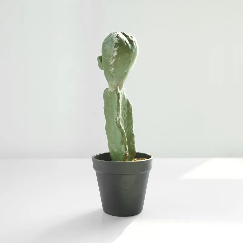 Compact Potted Cactus Replica – Designer Artificial Accent Piece 1