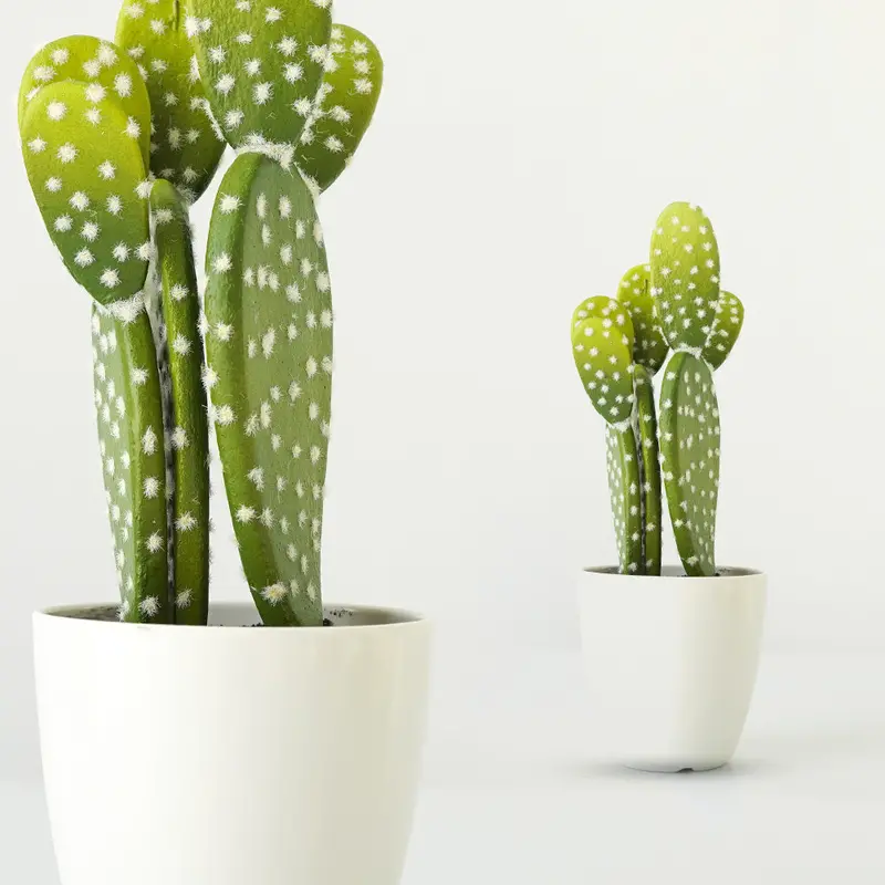 Contemporary Ceramic-Potted Cactus – Artisan Artificial Greenery 1
