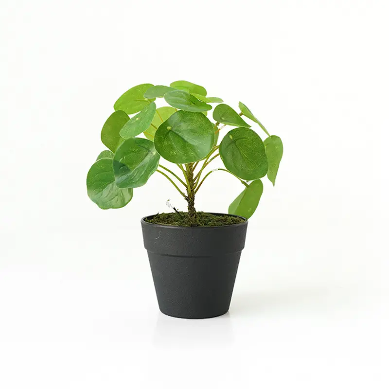 Designer Artificial Plant In Decorative Pot – N36020-Pz156 1