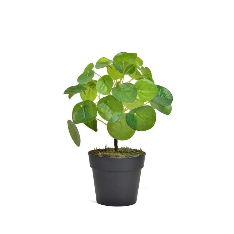 Designer Faux Plant – Curated For Contemporary Interiors 1