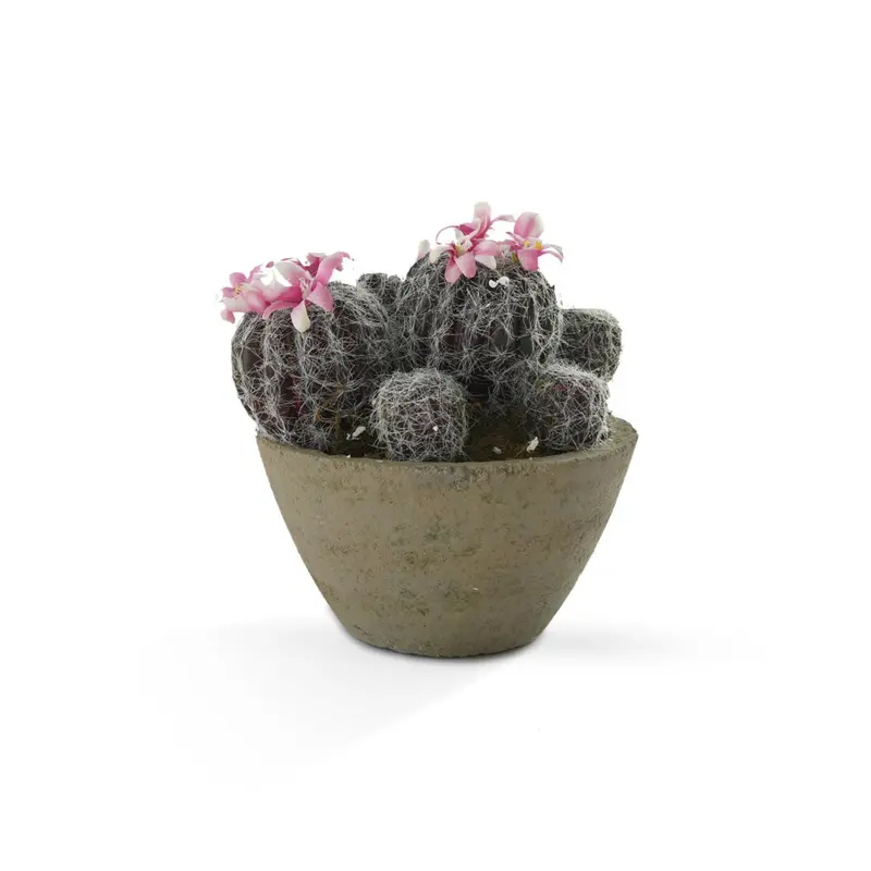 Handcrafted Artificial Cactus In Decorative Ceramic Pot N36520-Pz024 1