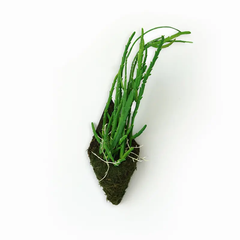 Handcrafted Artificial Plant Wall Panel – N36020-Xg166 1