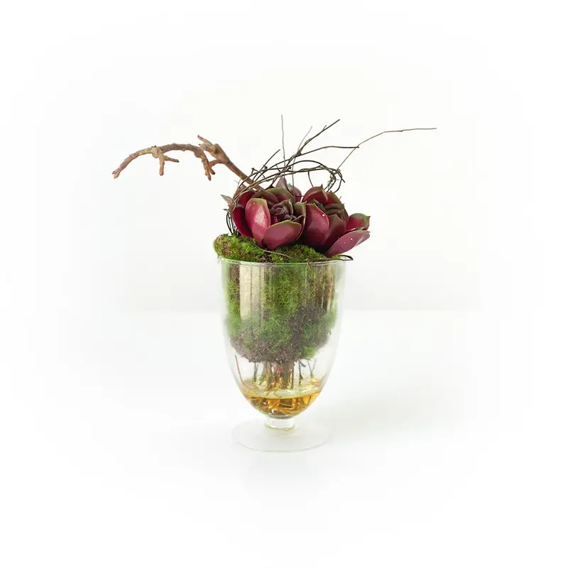 Handcrafted Artificial Succulent In Decorative Pot With Realistic Grass Accent 1