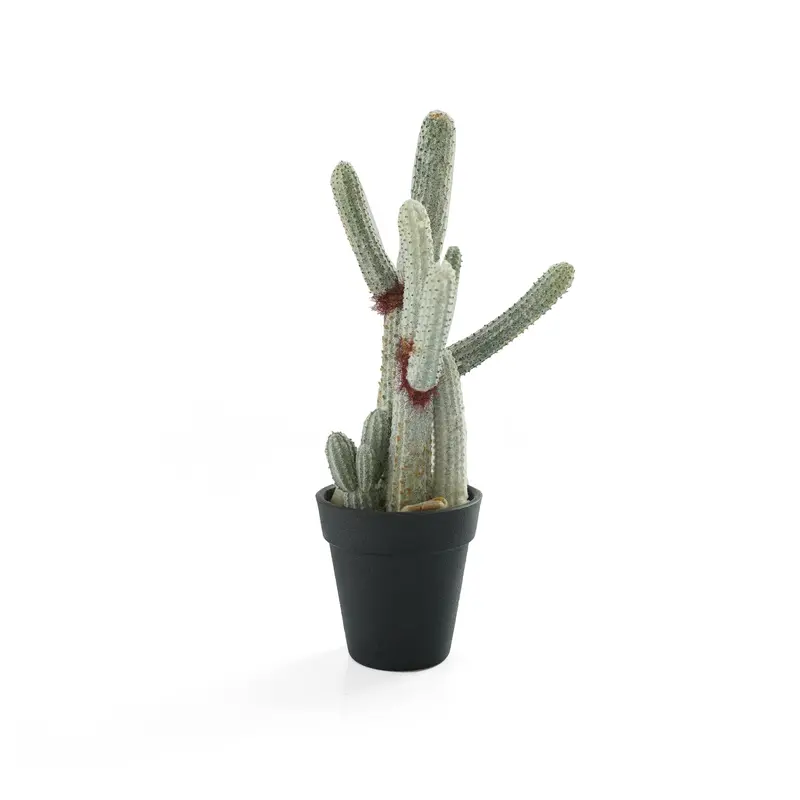 Handcrafted Mini Artificial Cactus In Ceramic Pot – N35020-Sm121 1