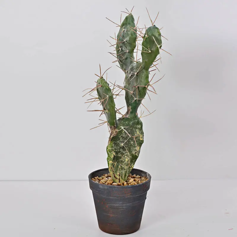 Handmade Artificial Cactus Centerpiece – Yf17Sp-17688 1