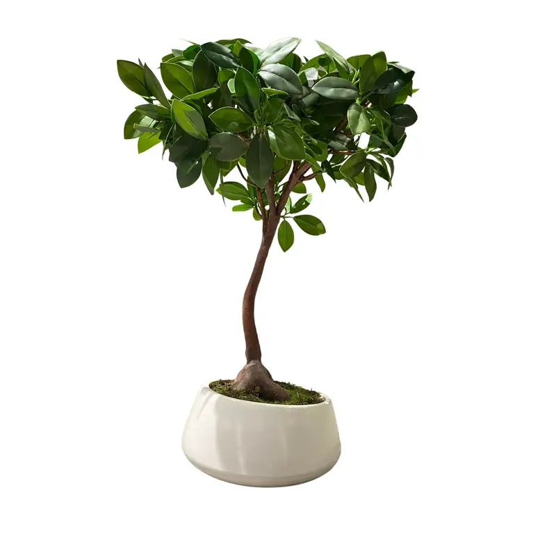 Handmade Artificial Potted Plant – Realistic Indoor Greenery N36520-Pz055 1