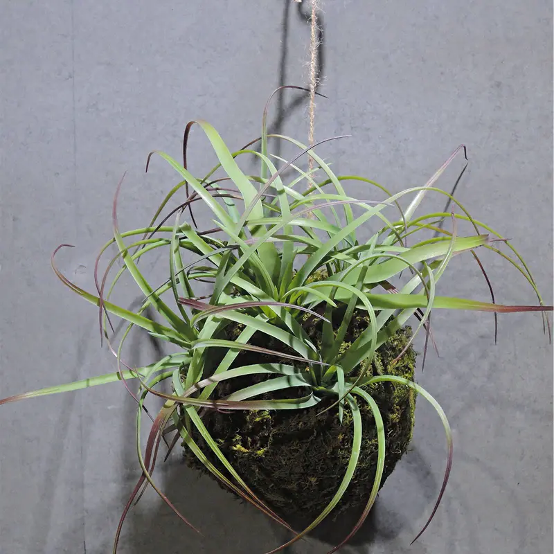 Handmade Artisan Artificial Plant – Ah3151 1