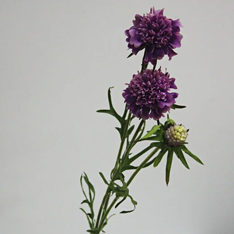 Handmade Decorative Artificial Plant – Hyp-Hy6404 (De/Pu Finish) 1