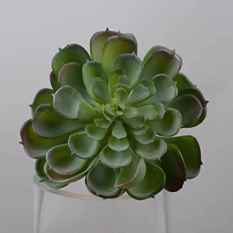 Handmade Dual-Tone Artificial Plant Decor – Dgyl-Nh932 1