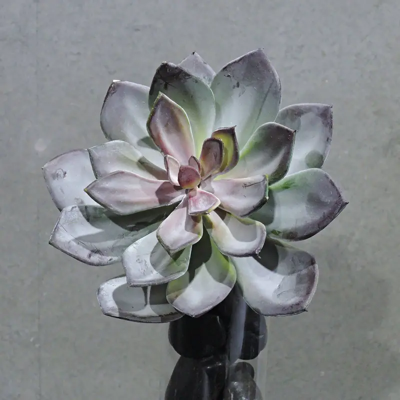 Handmade Purple & Green Artificial Plant – Yf16Sd-12992 1