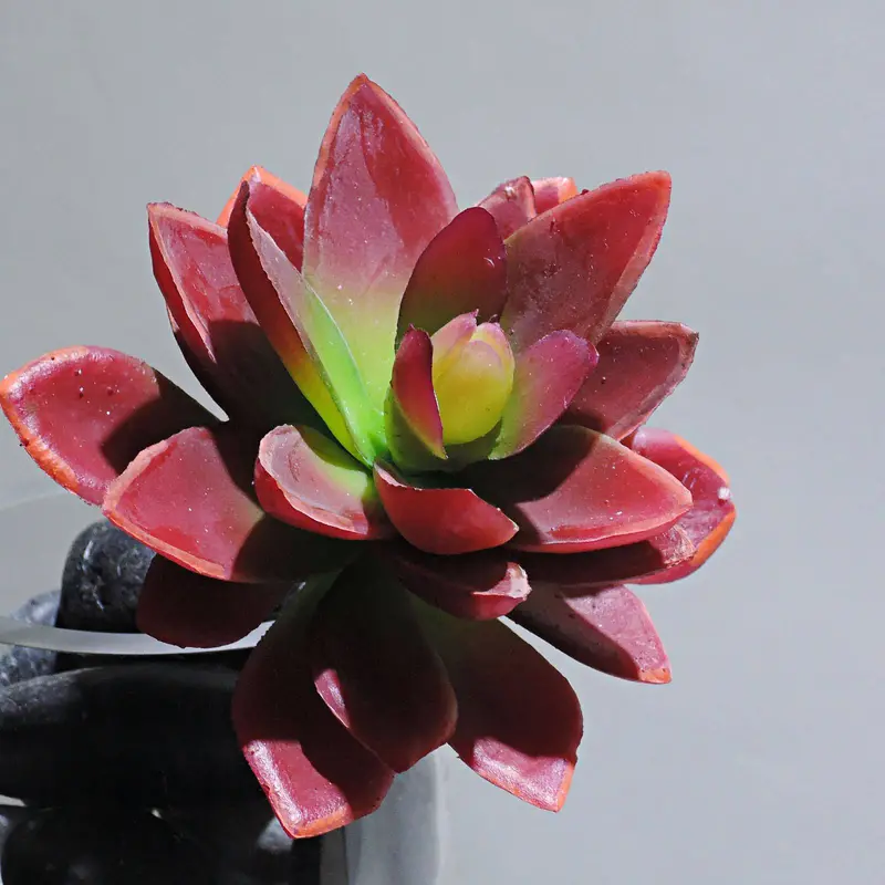 Handmade Red & Green Artificial Plant Decor – Xmymh-F-107 1