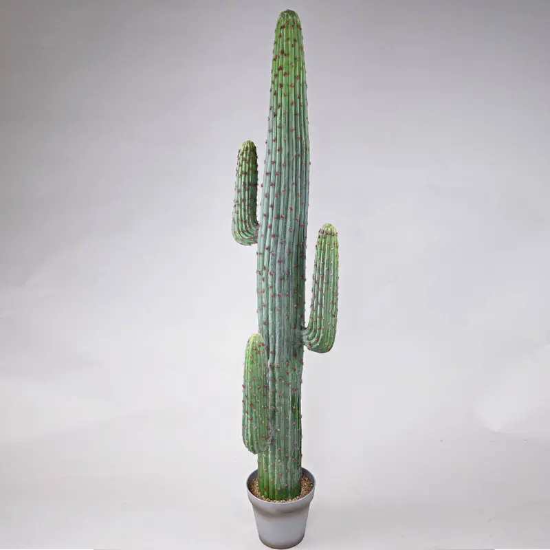 Handmade Tall Artificial Cactus – Yf16Sp-13631 1