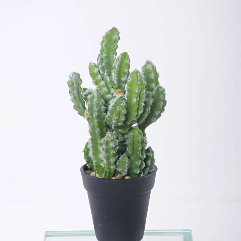 Handmade Textured Artificial Cactus – Yf17Sp-16100 1