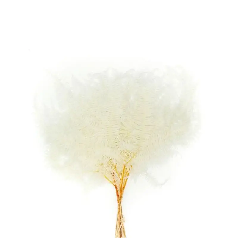 Preserved Dried Flower Display – D Fd-Jh2102D 1