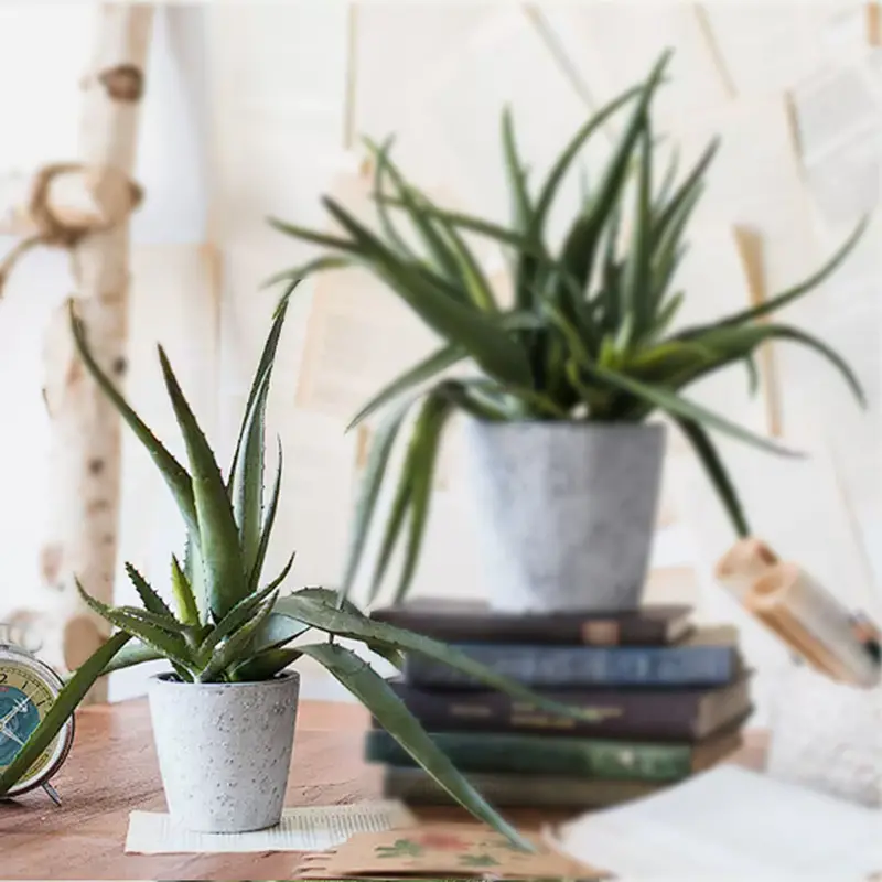 Realistic Aloe Vera Plant In Styled Pot – Handcrafted Faux Greenery 1