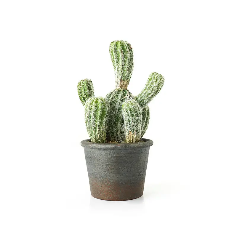 Stylized Desert-Themed Cactus In Ceramic Planter – Handcrafted Faux Plant 1