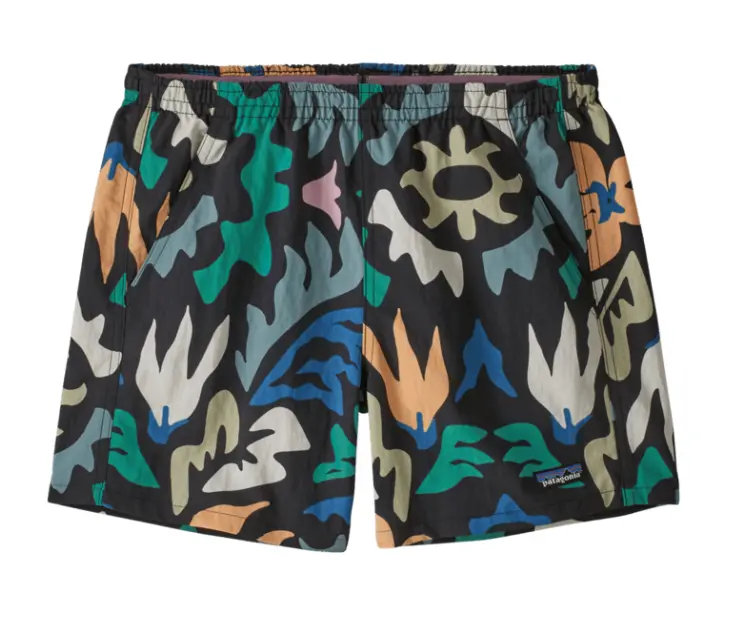 Women'S Patagonia Baggies 5-Inch Shorts 1